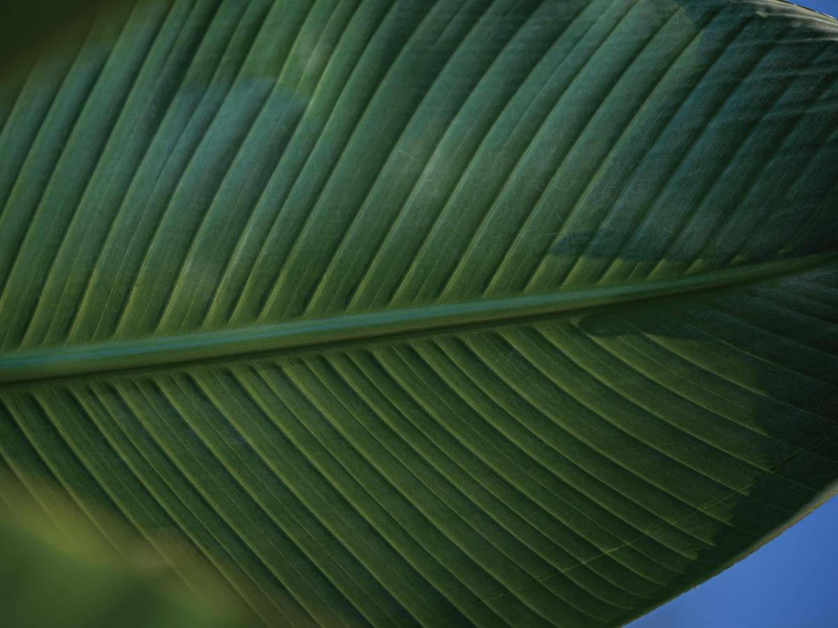 Homm Stay Yumiha Okinawa By Banyan Tree Group Onna Bagian luar foto